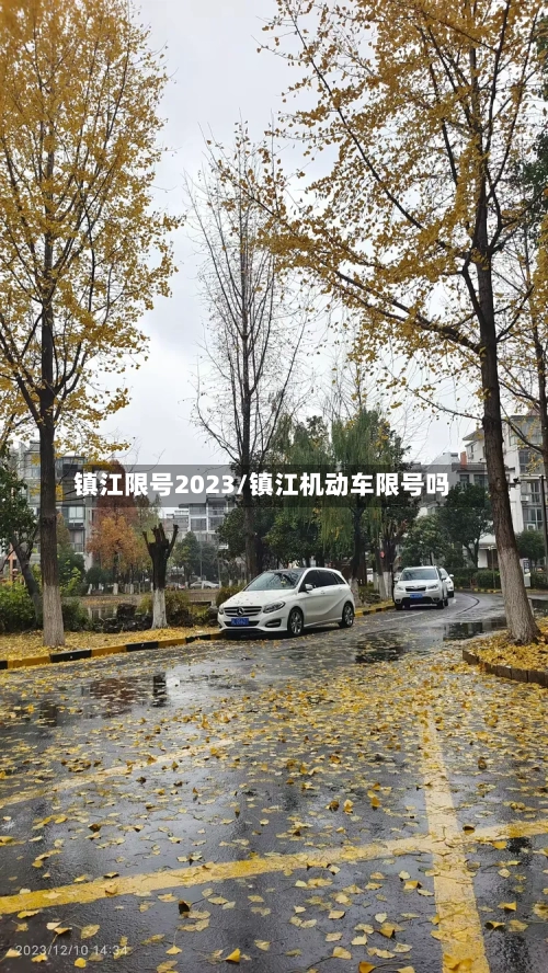 镇江限号2023/镇江机动车限号吗