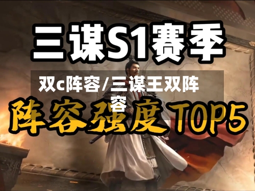 双c阵容/三谋王双阵容