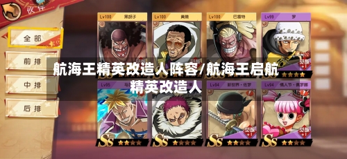 航海王精英改造人阵容/航海王启航精英改造人
