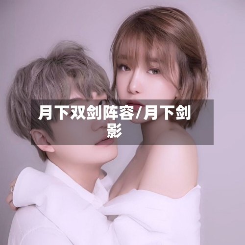 月下双剑阵容/月下剑影