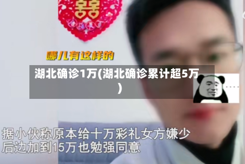 湖北确诊1万(湖北确诊累计超5万)