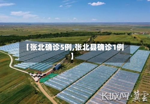 【张北确诊5例,张北县确诊1例】