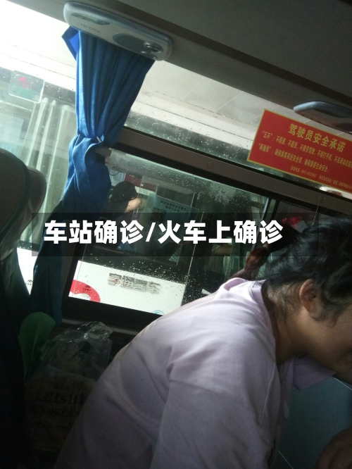 车站确诊/火车上确诊