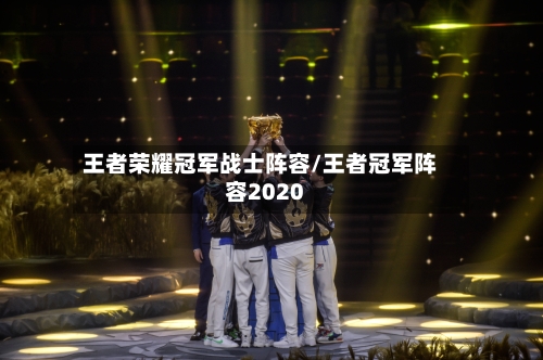 王者荣耀冠军战士阵容/王者冠军阵容2020