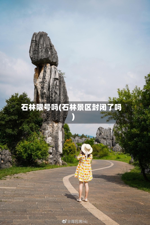 石林限号吗(石林景区封闭了吗)