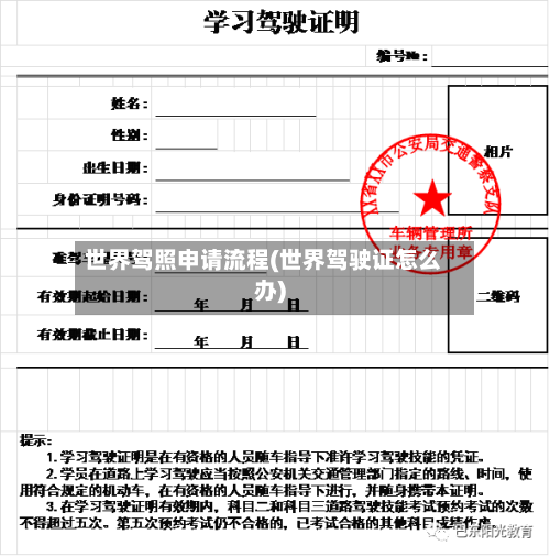世界驾照申请流程(世界驾驶证怎么办)