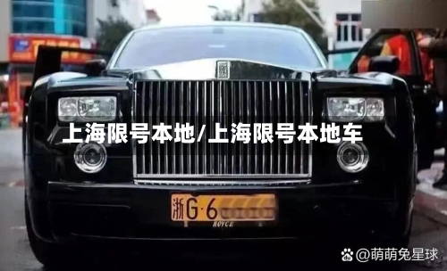 上海限号本地/上海限号本地车