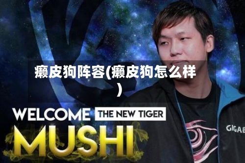 癞皮狗阵容(癞皮狗怎么样)