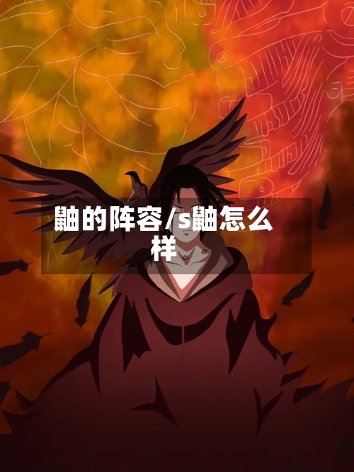 鼬的阵容/s鼬怎么样