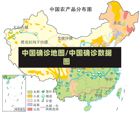 中国确诊地图/中国确诊数据图