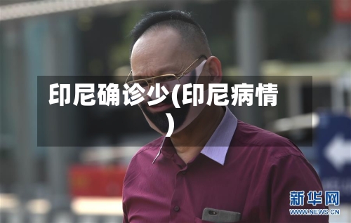 印尼确诊少(印尼病情)