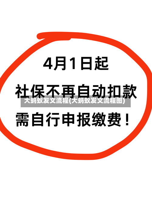 大蚂蚁发文流程(大蚂蚁发文流程图)