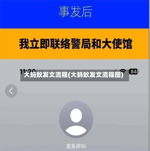 大蚂蚁发文流程(大蚂蚁发文流程图)