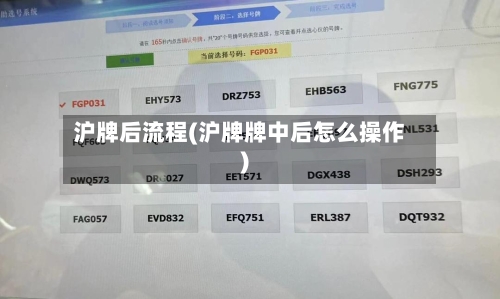 沪牌后流程(沪牌牌中后怎么操作)