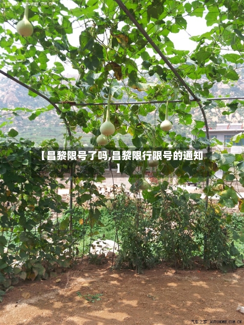 【昌黎限号了吗,昌黎限行限号的通知】
