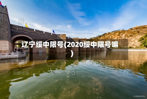 辽宁绥中限号(2020绥中限号嘛)