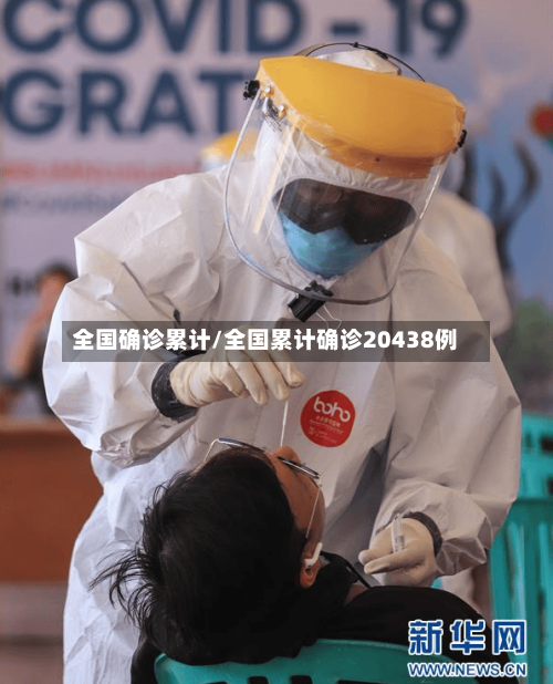 全国确诊累计/全国累计确诊20438例