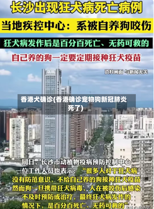 香港犬确诊(香港确诊宠物狗新冠肺炎死了)