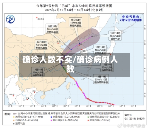确诊人数不实/确诊病例人数
