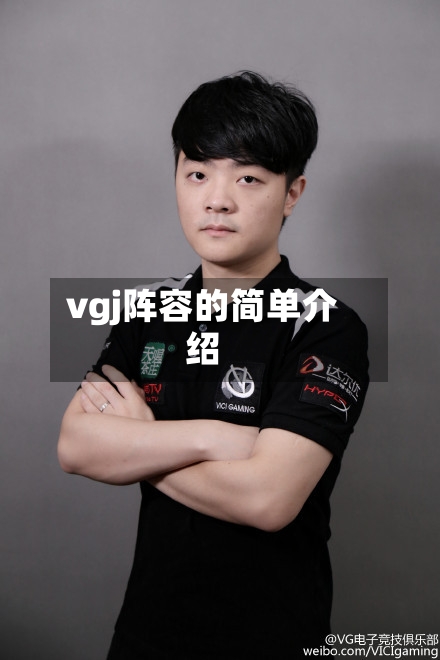 vgj阵容的简单介绍