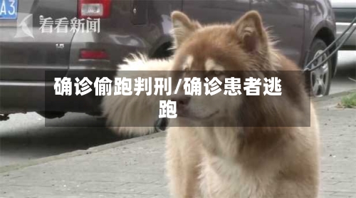 确诊偷跑判刑/确诊患者逃跑