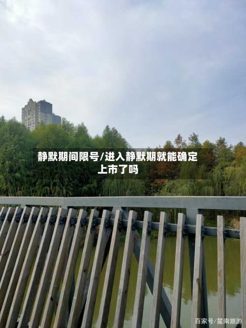 静默期间限号/进入静默期就能确定上市了吗