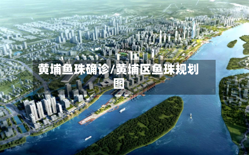 黄埔鱼珠确诊/黄埔区鱼珠规划图