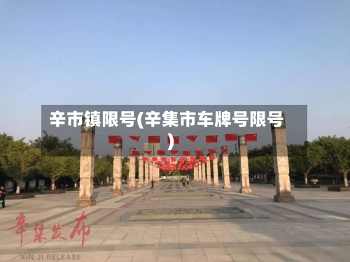 辛市镇限号(辛集市车牌号限号)