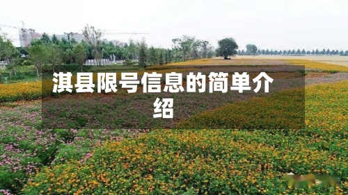 淇县限号信息的简单介绍