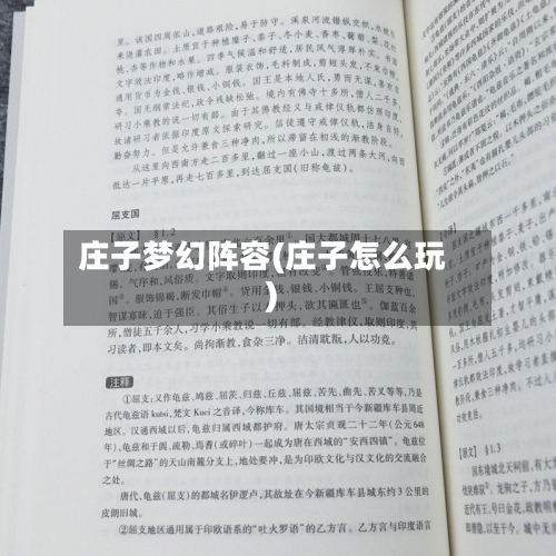 庄子梦幻阵容(庄子怎么玩)