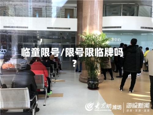 临童限号/限号限临牌吗?