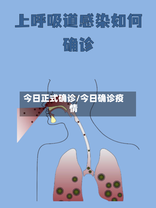 今日正式确诊/今日确诊疫情