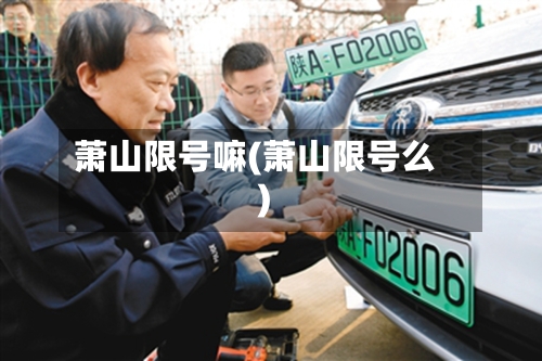 萧山限号嘛(萧山限号么)