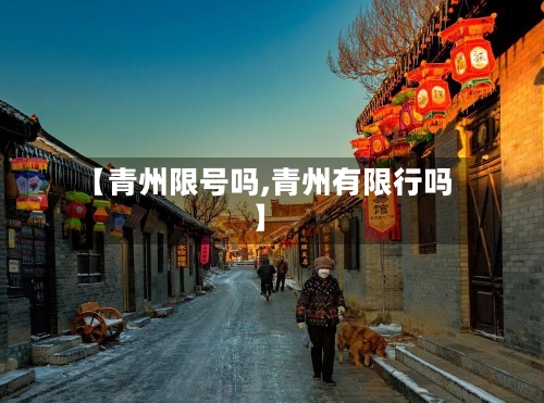 【青州限号吗,青州有限行吗】