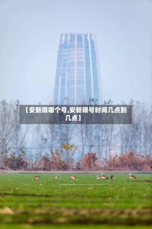 【安新限哪个号,安新限号时间几点到几点】