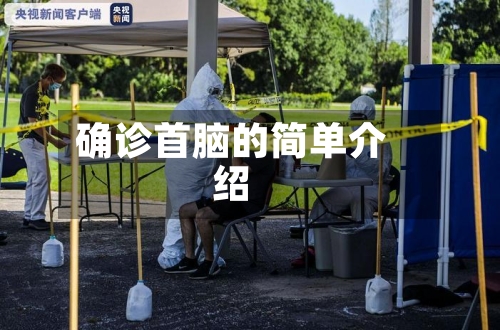 确诊首脑的简单介绍