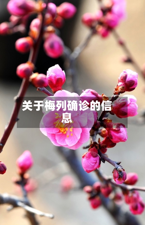 关于梅列确诊的信息