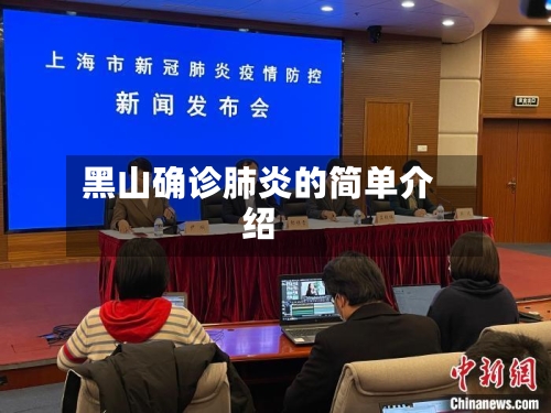 黑山确诊肺炎的简单介绍