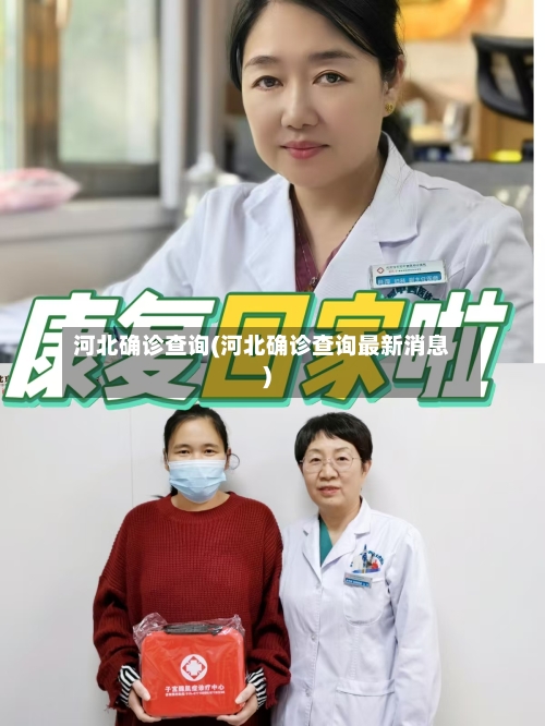 河北确诊查询(河北确诊查询最新消息)