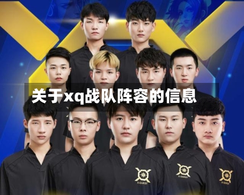 关于xq战队阵容的信息
