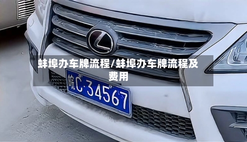 蚌埠办车牌流程/蚌埠办车牌流程及费用