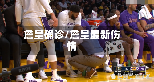 詹皇确诊/詹皇最新伤情