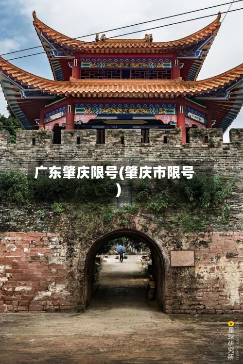广东肇庆限号(肇庆市限号)