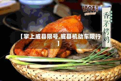 【掌上威县限号,威县机动车限行】