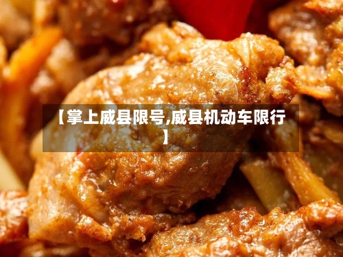 【掌上威县限号,威县机动车限行】