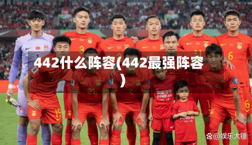 442什么阵容(442最强阵容)