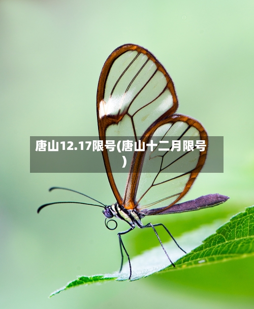 唐山12.17限号(唐山十二月限号)