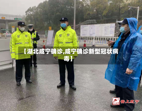 【湖北咸宁确诊,咸宁确诊新型冠状病毒】