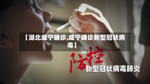 【湖北咸宁确诊,咸宁确诊新型冠状病毒】