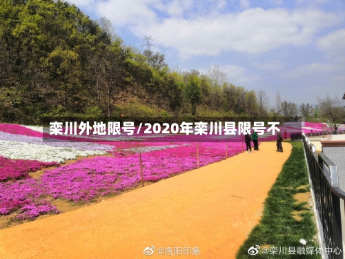 栾川外地限号/2020年栾川县限号不